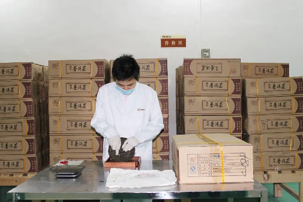 临汾普洱茶检验展示